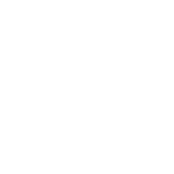 networking icon