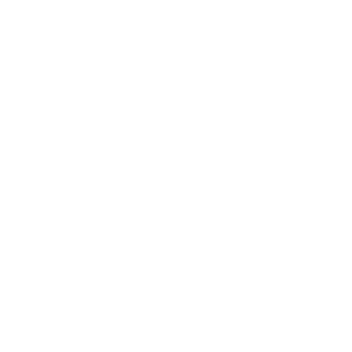 networking icon